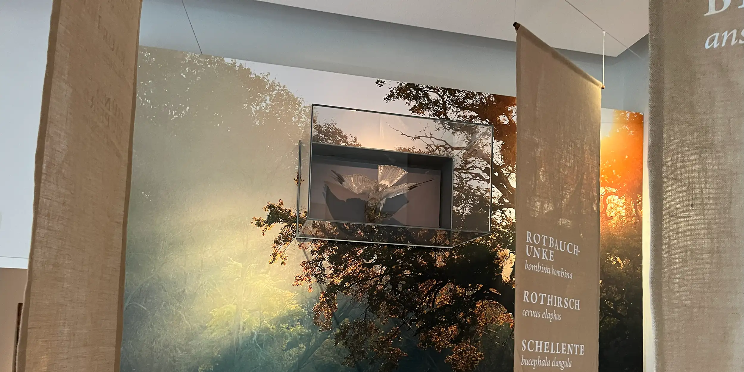 Ausstellung Schloss Marchegg, Leitsysteme, Textilspannrahmen, Wandtapeten, Jutebahnen